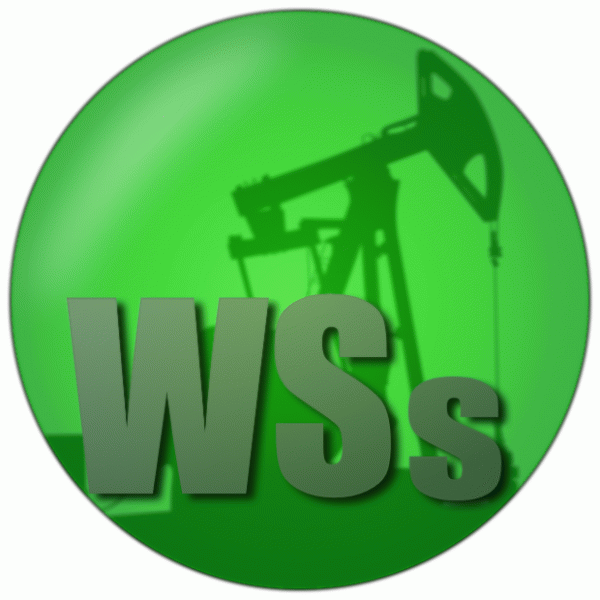 WellSim service monitor